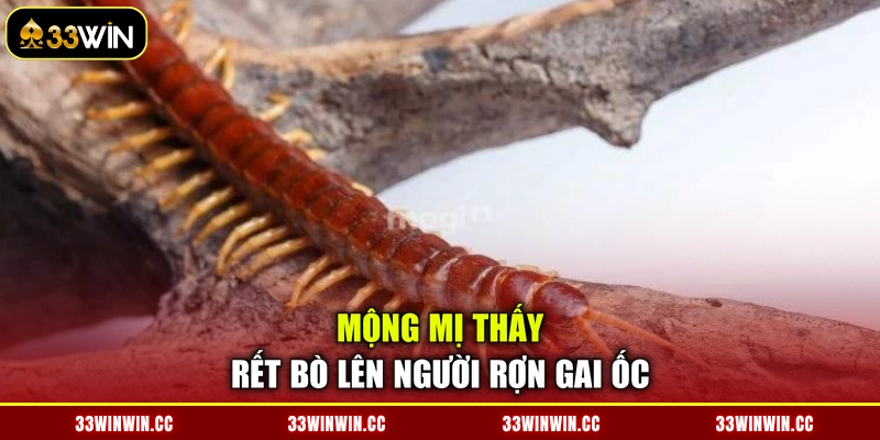 Mộng mị thấy rết bò lên người rợn gai ốc